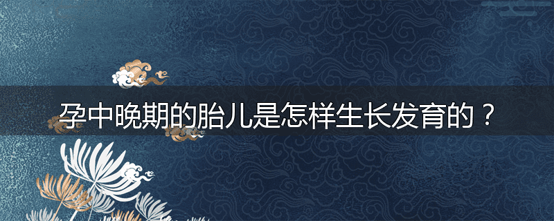 孕中晚期的胎儿是怎样生长发育的?