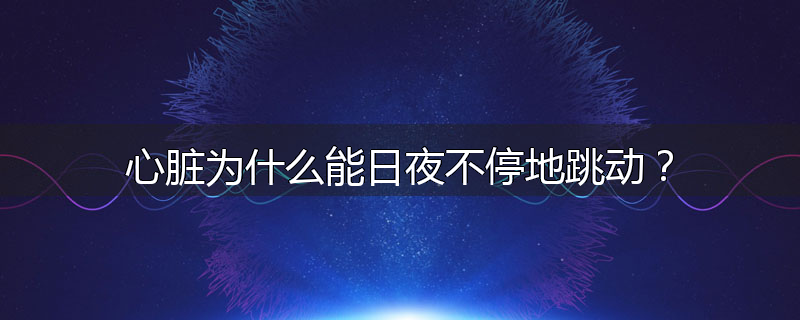 心脏为什么能日夜不停地跳动？