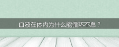 血液在体内为什么能循环不息？