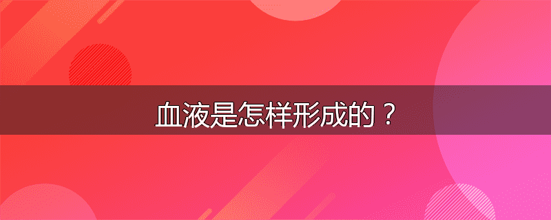 血液是怎样形成的？