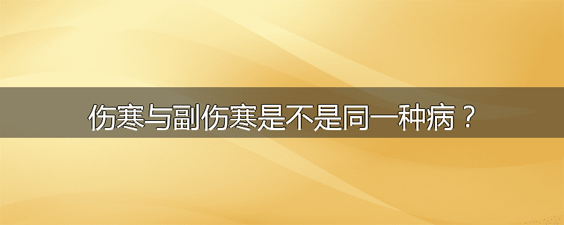 伤寒与副伤寒是不是同一种病？