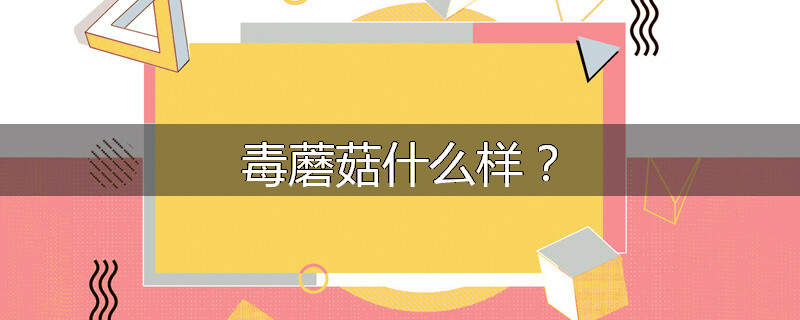 毒蘑菇什么样?