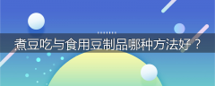 煮豆吃与食用豆制品哪种方法好？