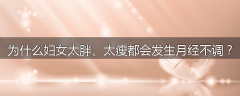 为什么妇女太胖、太瘦都会发生月经不调？