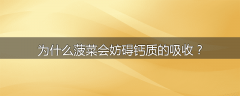 为什么菠菜会妨碍钙质的吸收？